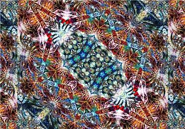 《宝可梦：朱＆紫》DLC“后篇：蓝之圆盘”上线 官方赠送大师球